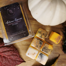 Load image into Gallery viewer, Autumn equinox wax melt flat lay