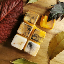 Load image into Gallery viewer, Wonky Wax Melts
