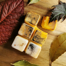 Load image into Gallery viewer, Autumn equinox flat lay
